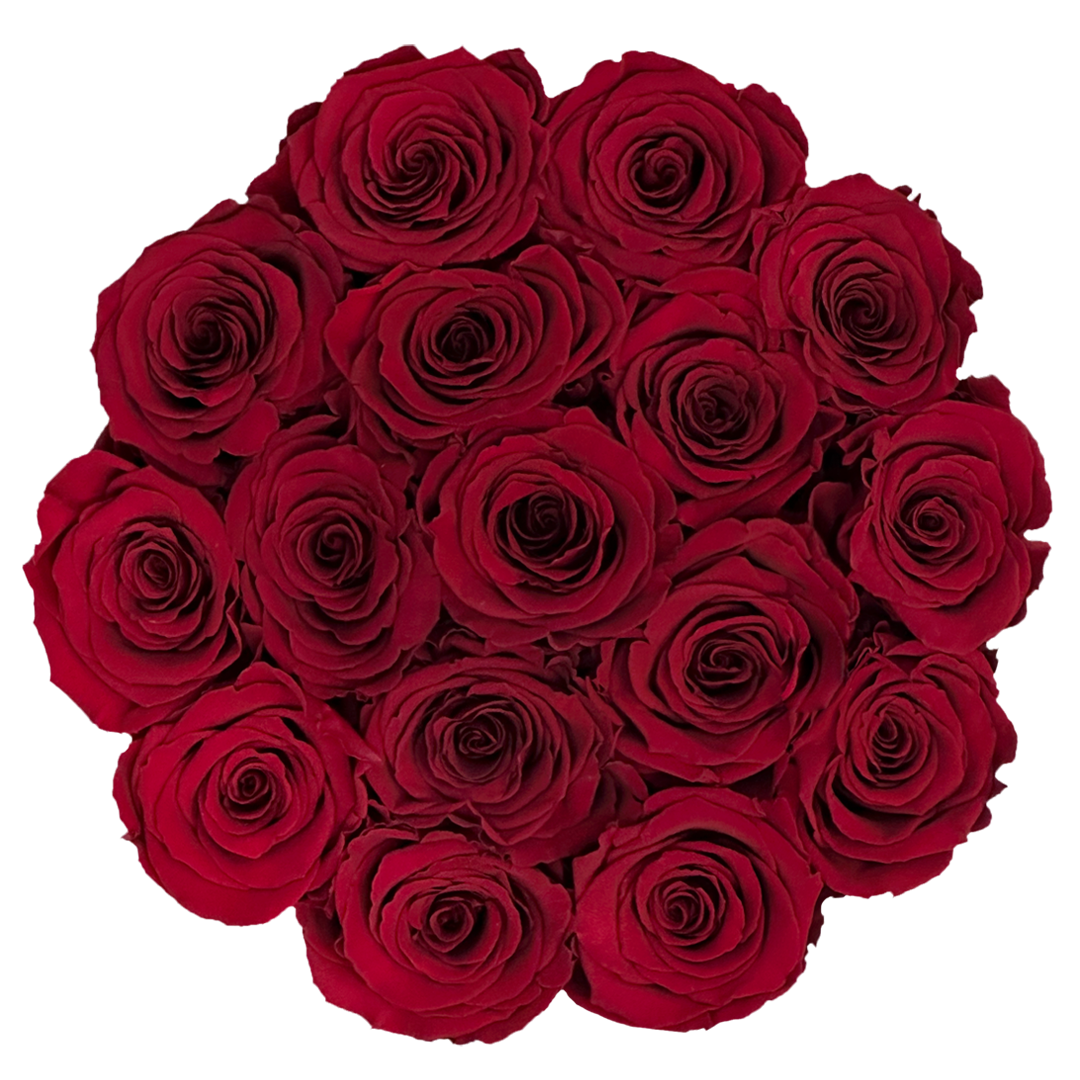 001_L_RED01_baby pink_top