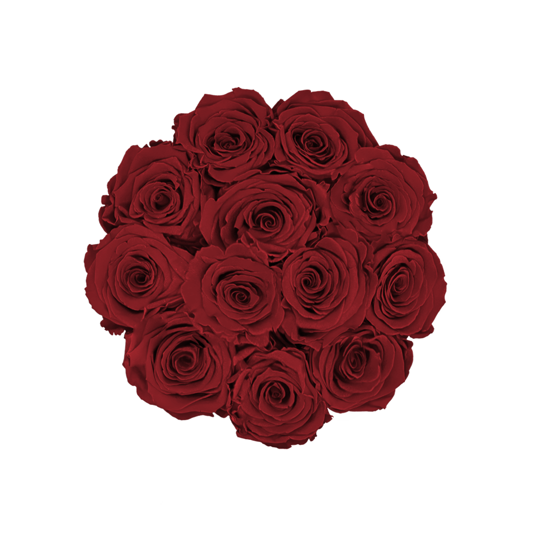 001_M_RED01_black_top