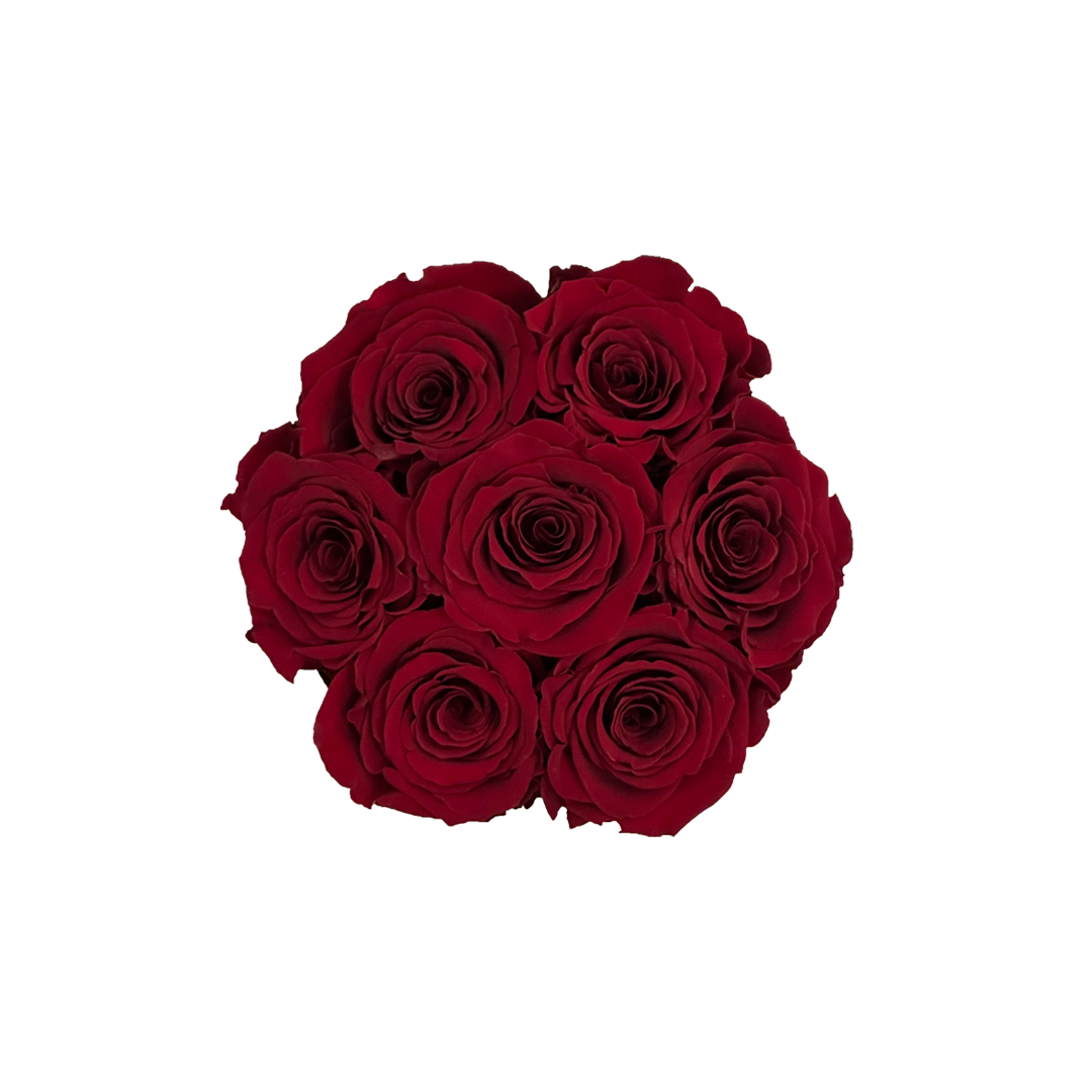 001_S_RED01_black_top